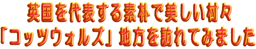     �p�����\����f�p�Ŕ��������X �u�R�b�c�E�H���Y�v�n����K��Ă݂܂���