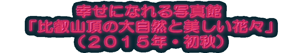 �K���ɂȂ��ʐ^�ف@�@�@�@ �@�u��b�R���̑厩�R�Ɣ������ԁX�v  �i�Q�O�P�T�N�E���H�j�@�@�@ 